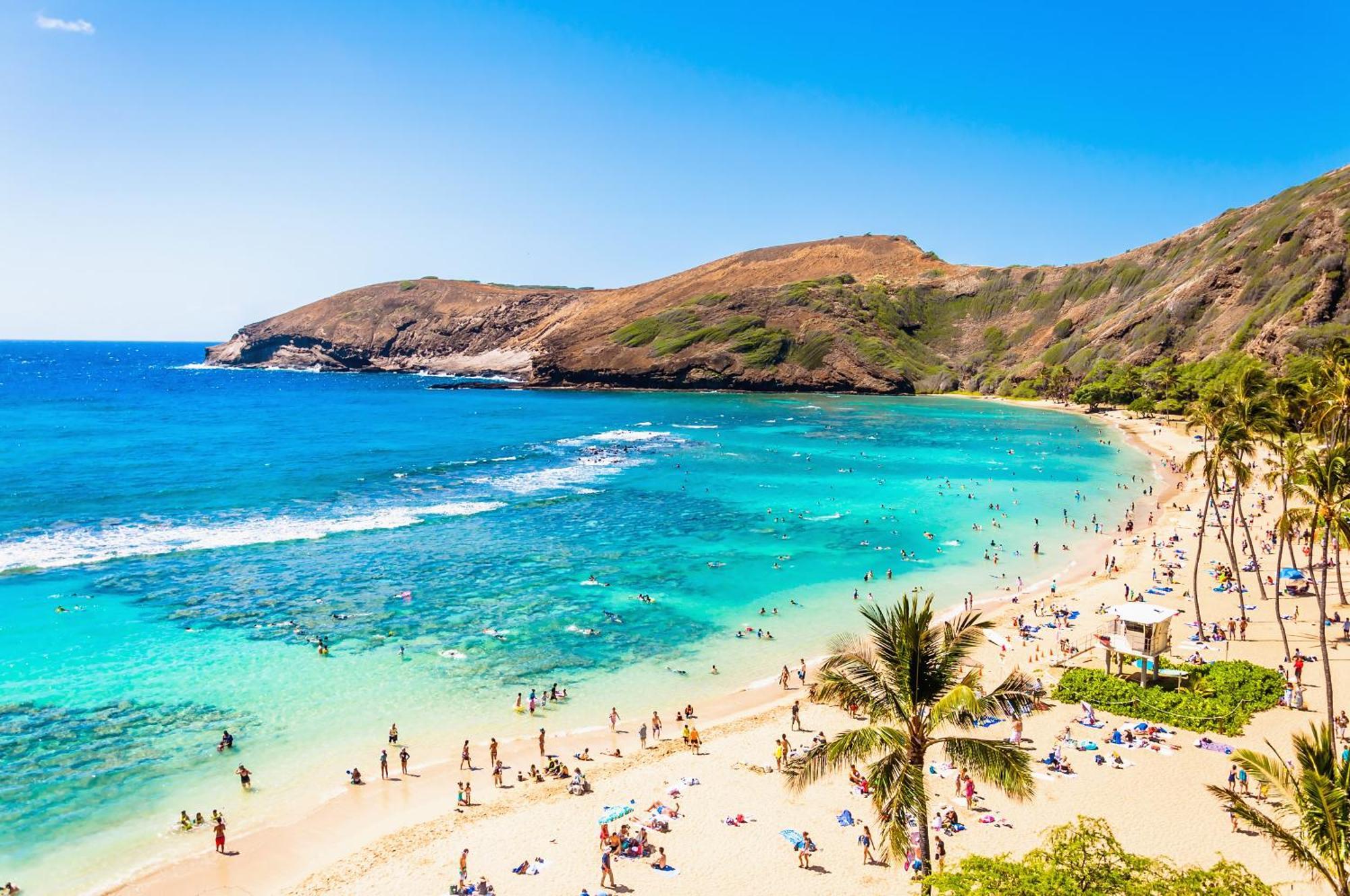 Aloha Vibes With Ocean Views, Near Beach & Parking! Гонолулу Екстер'єр фото