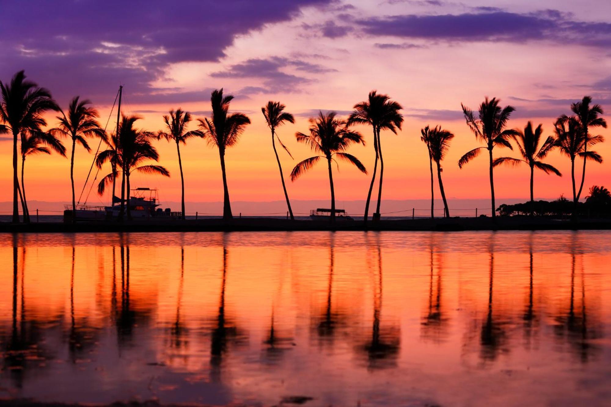 Aloha Vibes With Ocean Views, Near Beach & Parking! Гонолулу Екстер'єр фото